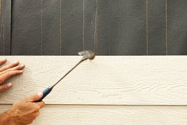 Best Steel Siding Installation  in Knightsen, CA